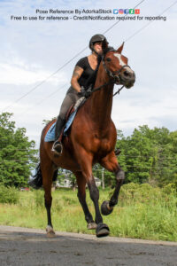 Horse Rider 3/4 Perspective Low Running