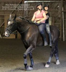 two white models riding a large brown and black horse smiling looking off into the distance, 3/4 View