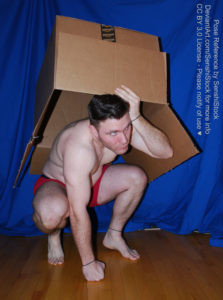 A muscular white man wearing a pair of red boxers is crouched on the floor where he's holding a giant cardboard box above his head and peeking out to the side.