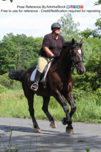 Model Sailor Nova on horseback as the horse trots or gallops