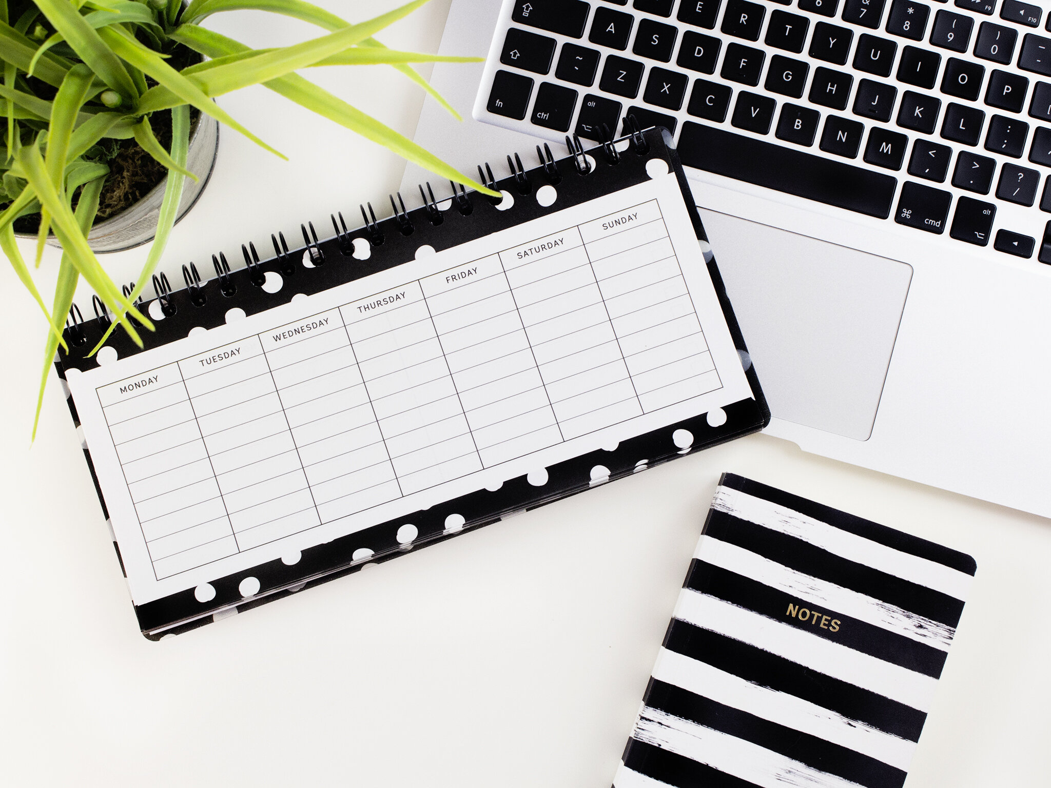 Using an Alternating Schedule to Balance Both Art and Fitness (or whatever recharges your battery)