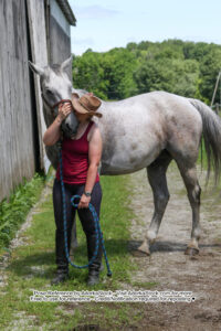 pose reference of a person giving a big horse a smooch on his nose from the side