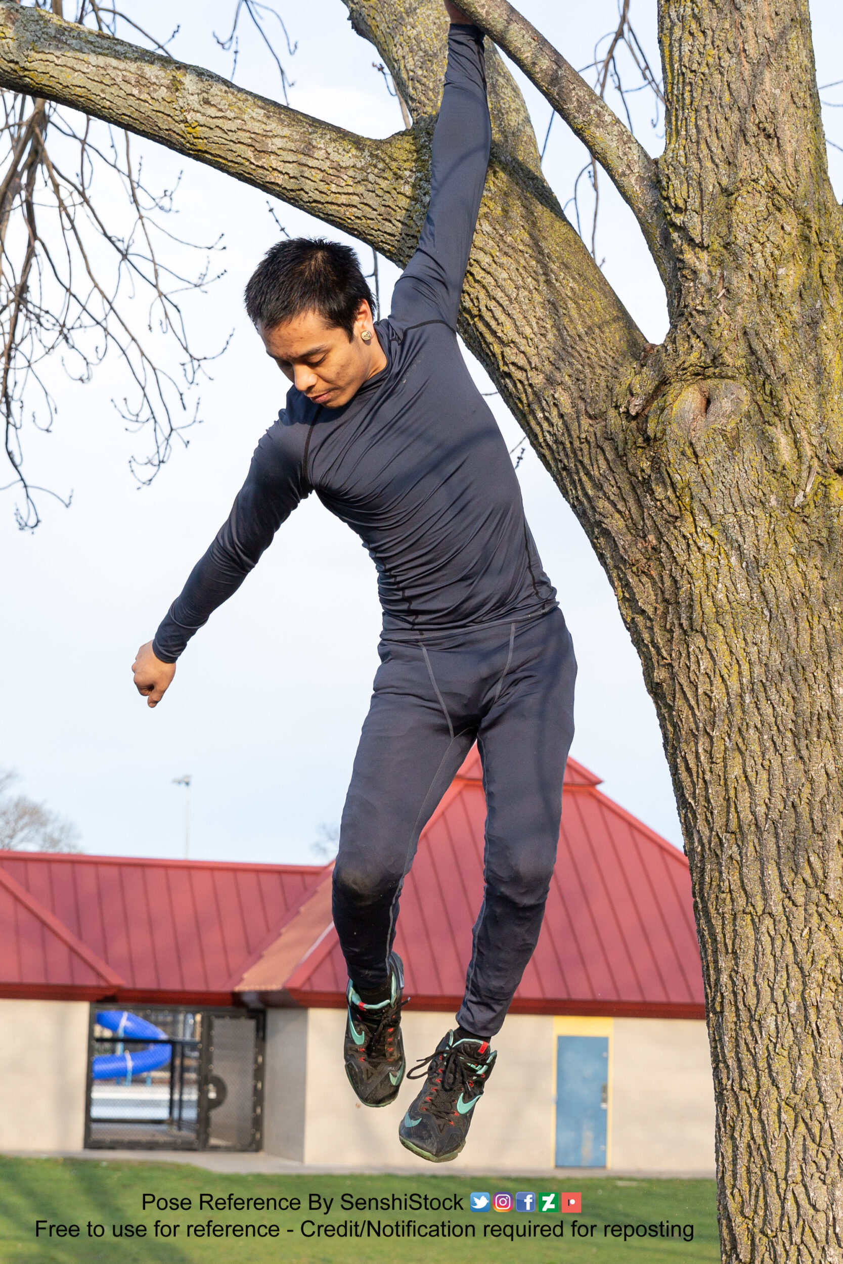 thin asian male model hanging from a tree limb with one arm