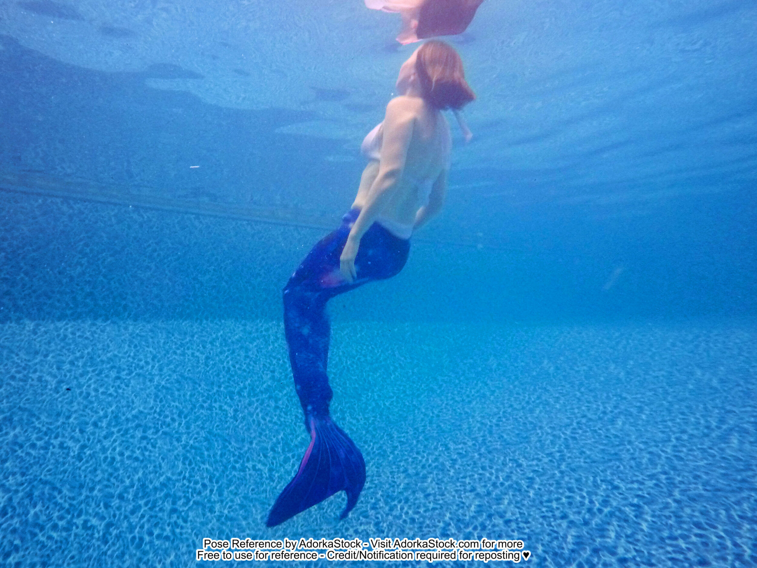 an underwater photo of a person wearing a mermaid tail mostly turned away floating up to the surface