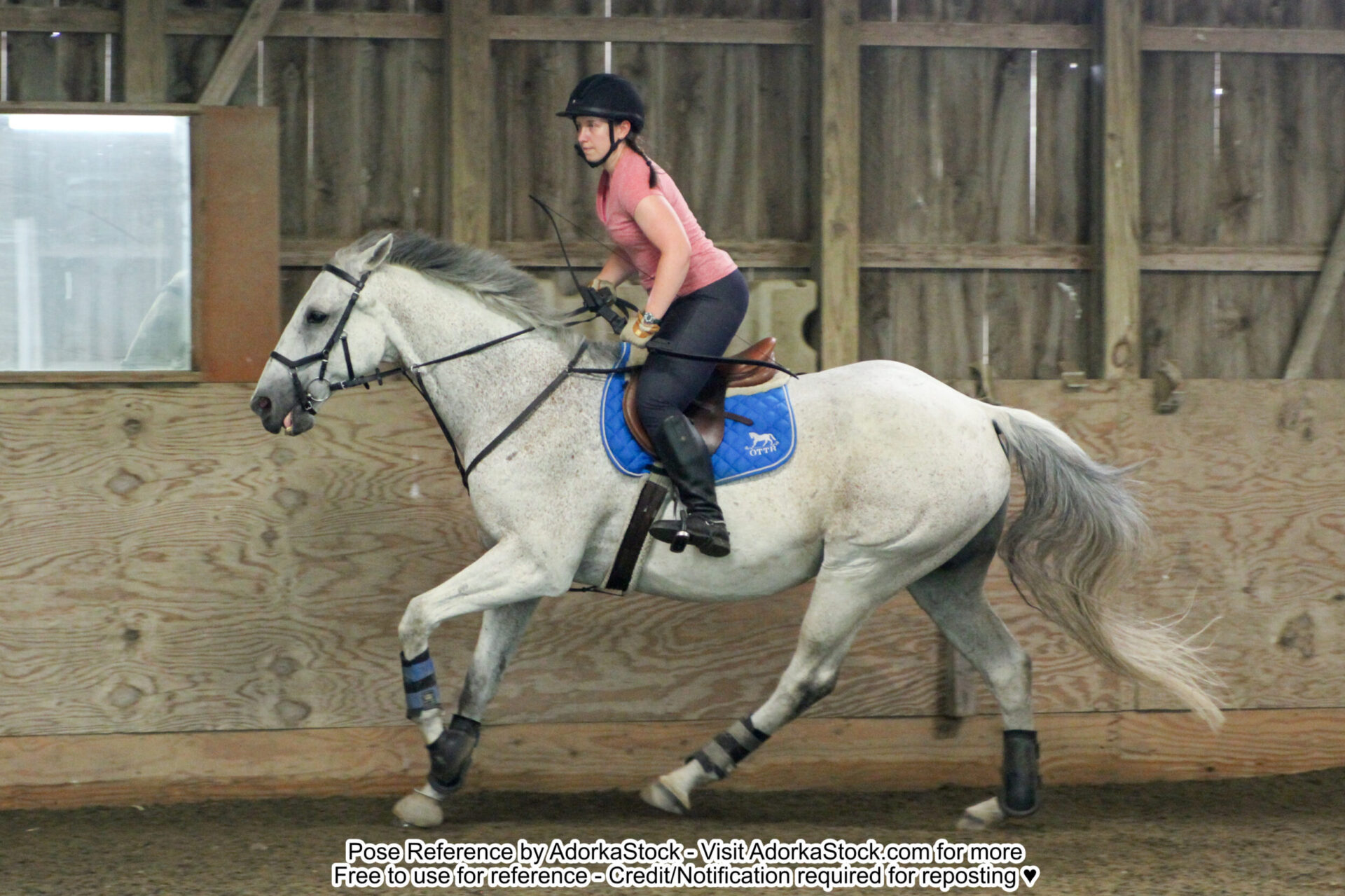 white female model riding on a large gray speckled horse holding a sword up