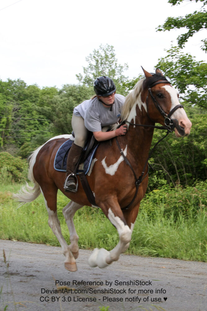 Horse and Rider Gallop Pose Reference - AdorkaStock